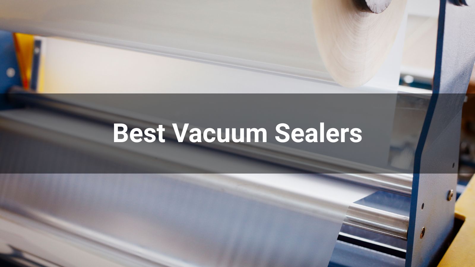 10 Best Vacuum Sealers Updated for 2026
